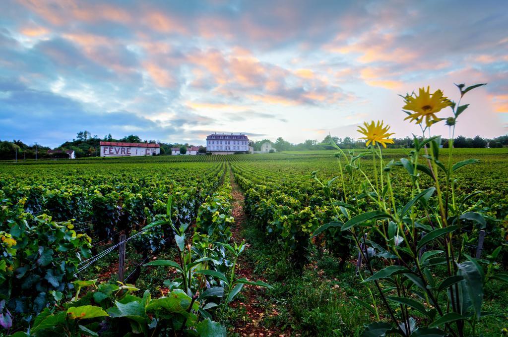 Gites Chateau Comblanchien 외부 사진